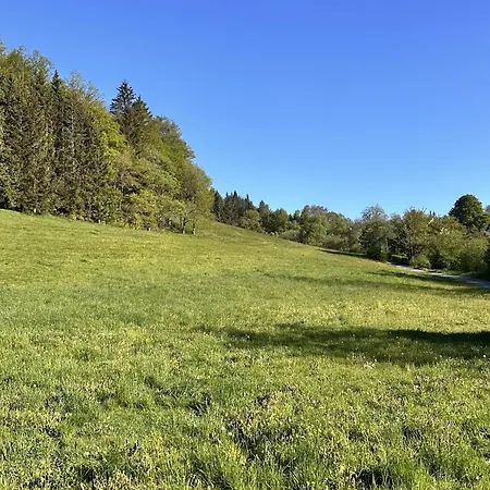 Smart B&b1 Bb1 122 *